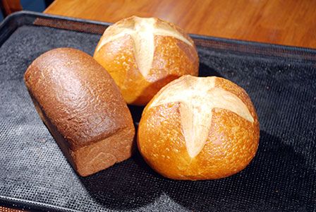 Wheat